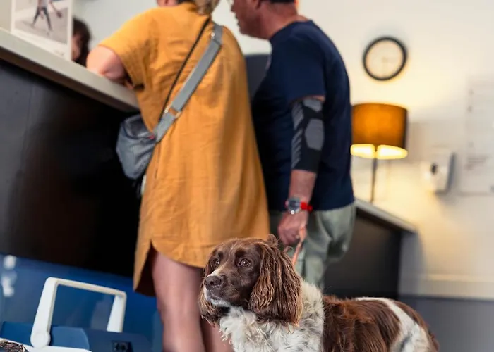 Ibis Budget Centro Hotel Málaga